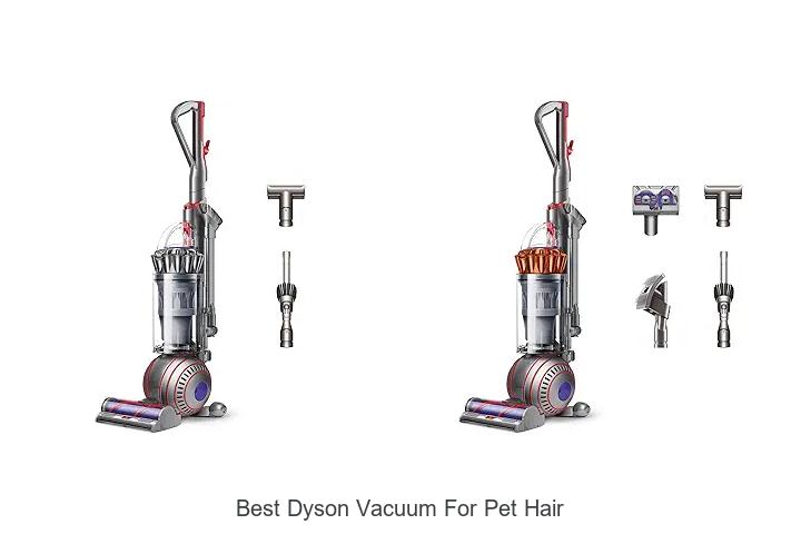 Best Dyson Vacuum for Pet Hair That Will Blow Your Mind