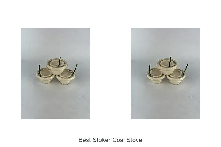 Best Stoker Coal Stove That Will Transform Your Heating Game