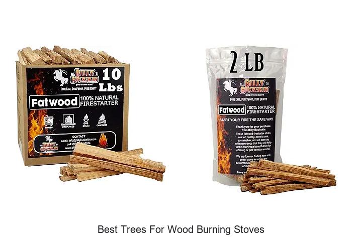 Best Trees For Wood Burning Stoves That Burn Like Magic