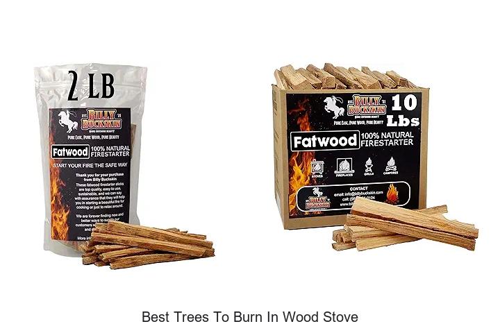 Best Trees To Burn In Wood Stove For Ultimate Heat Boost